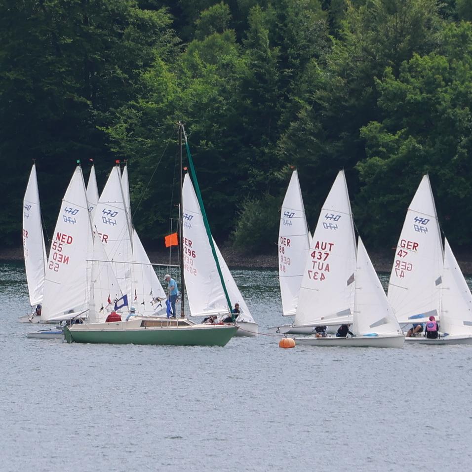 Mehrere Segelboote mit weißen Segeln auf einem ruhigen See, umgeben von grünen Wäldern im Hintergrund.
